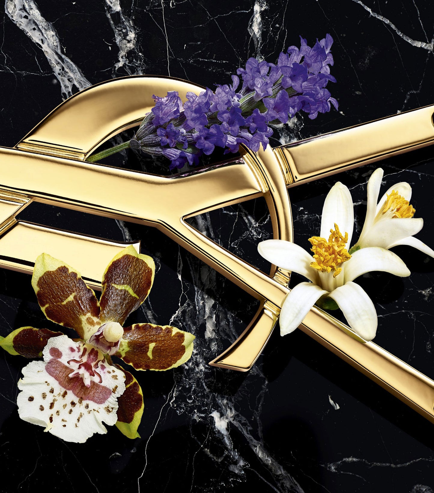 Yves Saint Laurent- Libre Intense