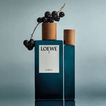 Loewe- 7 Cobalt