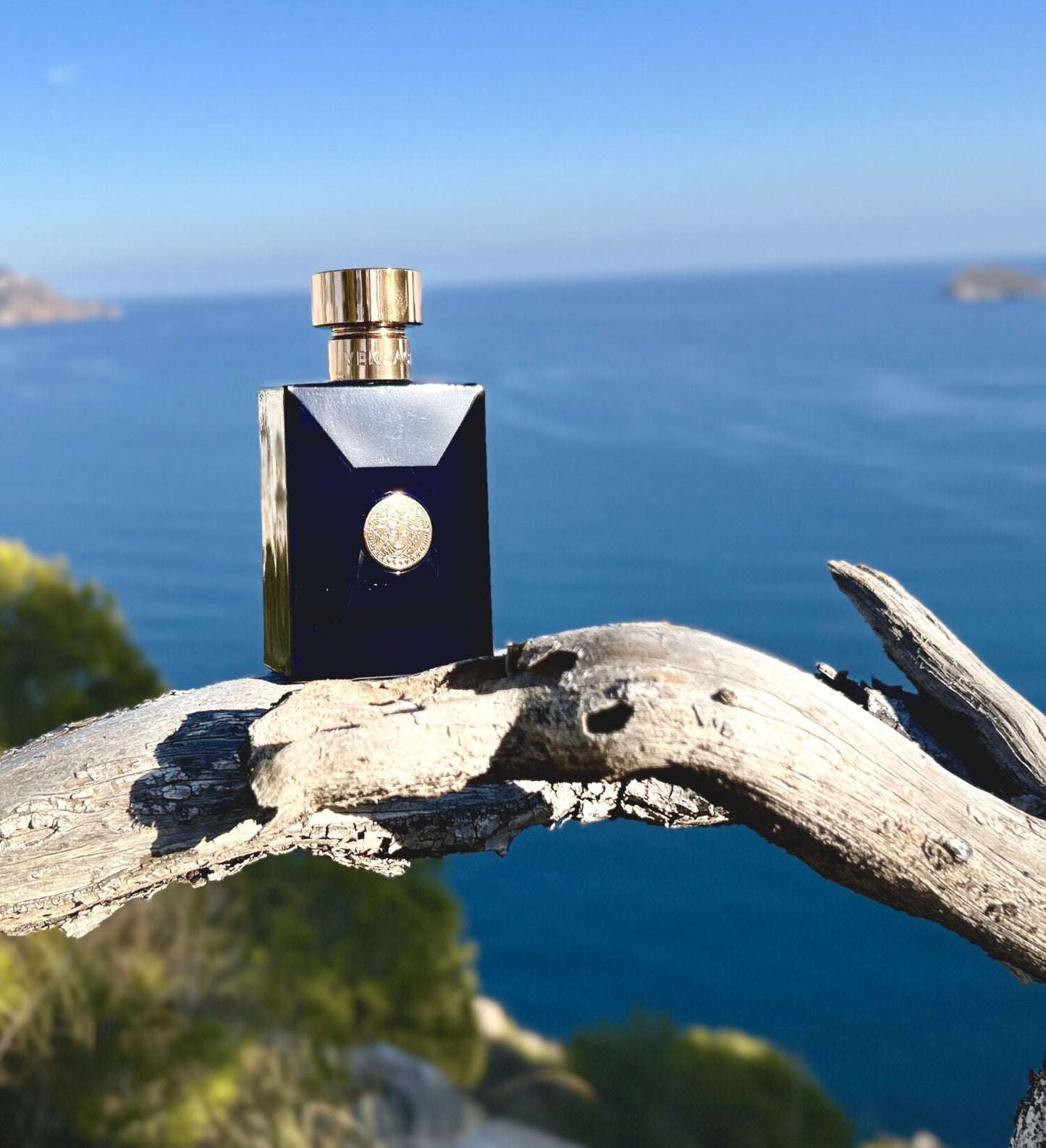 Versace- Dylan Blue Pour Homme